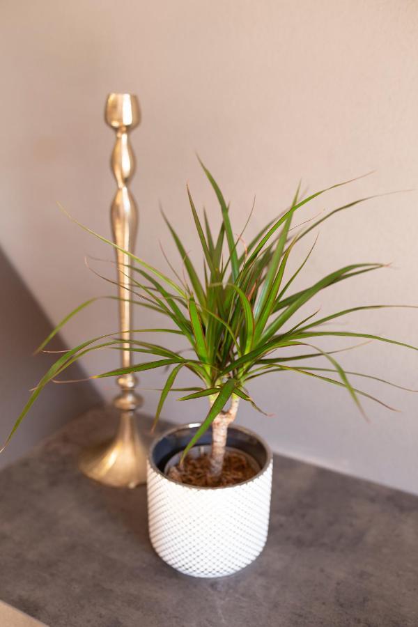 Apartment Dorotea'S Place زادار المظهر الخارجي الصورة